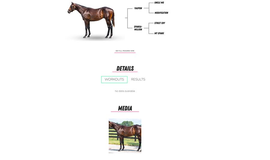 A screenshot of a horse

Description automatically generated